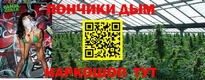 индика Жуковский
