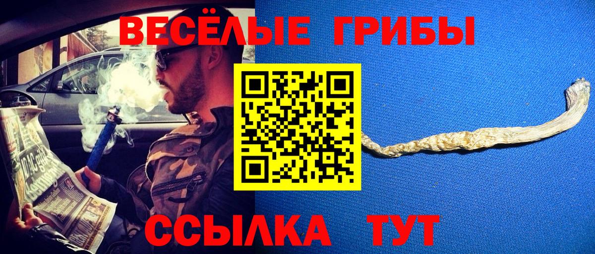 Псилоцибиновые грибы Psilocybe Мурино